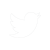 Twitter_Logo_WhiteOnImage-2